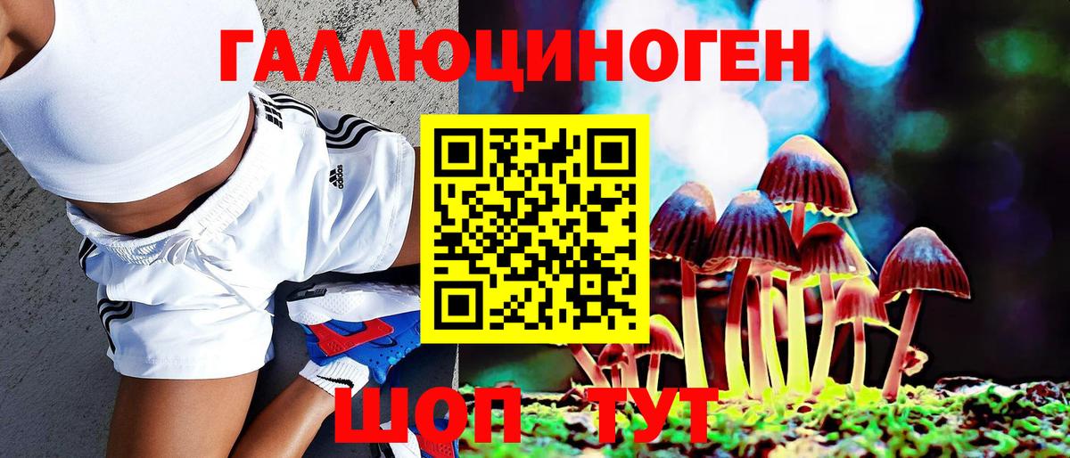 Псилоцибиновые грибы Psilocybine cubensis  Вход с VPN  Вичуга 